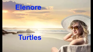 Elenore   Turtles - with lyrics