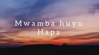 Rayvanny _ mwamba _ lyric video