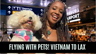 Flying Internationally with a Pet during COVID! | Vietnam to LAX 2021