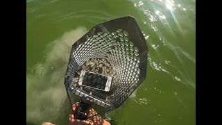 Metal Detecting during spring break at Fort Myers Beach. SO many rings!!!