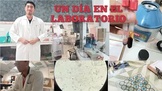 Un día en el laboratorio de análisis clínicos