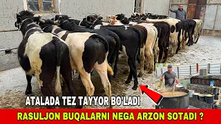 JAYDARI BUQALARNI ARZON JOYI 99-933-19-44 ARZONCHI UKAMIZDAN