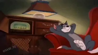 Tones and I - Dance Monkey (Lyrics)- tom and jerry