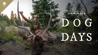 DOG DAYS - An Elk Hunter's Dream