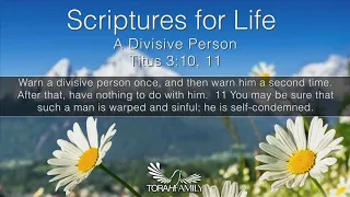 Scriptures for Life | A Divisive Person