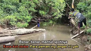 Akhirnya di temukan !! spot ikan gurame liar yg lagi viral di kalimantan