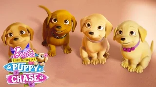 Meet the Puppies! | Barbie & Her Sisters in a Puppy Chase | @Barbie