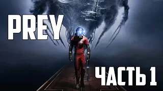 Prey ◘ Часть 1: Симуляция