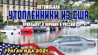 Утопленники после урагана Ида, ВСЁ что вам нужно знать!!! Авто из США