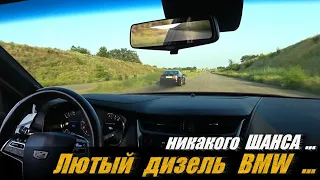 BMW E46 330D -  500 Hp . Просто без шансов . Что у нее под капотом ?