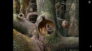 Samorost 1 longplay - Full Game