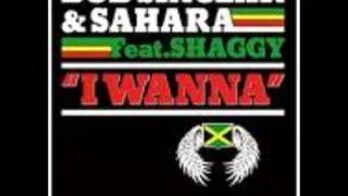 Bob Sinclar&Sahara feat. Shaggy-I Wanna [HD]