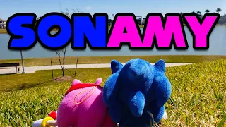 Sonic Zoom - SonAmy!