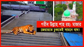 খালি হাতে এসে ধনী হয়ে ফিরে মানুষ- গরীব উল্লাহ শাহ (রহ:) এর কেরামতি। | Cplus