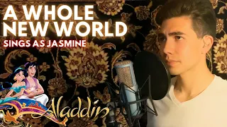 A Whole New World (Sing-Along) as Jasmine - Aladdin (Male Part Only Karaoke Cover) by Pablo daBari