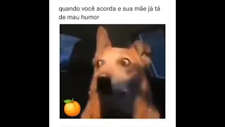 QUANDO VOCÊ ACORDA E SUA MÃE JÁ TÁ DE MAU HUMOR