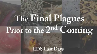 The Final Plagues Prior to the 2nd Coming (LDS Last Days Timeline)