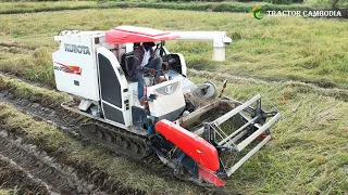 Increase Operator Harvester Working Skills Harvesting Rice | Combine Harvester Kubota DC 70 Plus