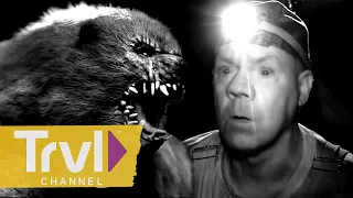 Is the AIMS Team Hunting the Silver Giant or Bigfoot? | Mountain Monsters | Travel Channel