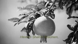 ♫ Hevenu Shalom Aleichem ♫ (A song at the glory of our God)