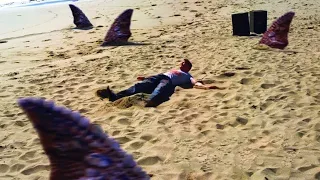 أسماك القرش بقت بتخرج وتعيش ف الرملة بدل المياه ! Sand Sharks