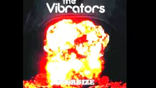 The Vibrators - "I Knew it must be Love"