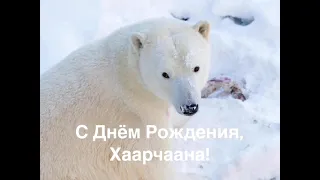 С Днём Рождения, Хаарчаана!