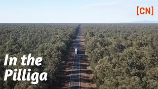 In the Pilliga | CN Docos