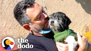 Little Old Man Dog Was Shaking Like A Leaf Until... ❤️ | The Dodo Adoption Day