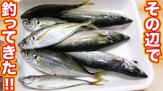 その辺で釣ってきた魚を捌いて調理したら、予想以上の美味しさになりました！！！