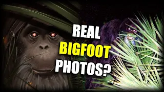 Was the Myakka Skunk Ape Real or a Hoax?