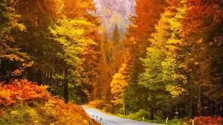 Beautiful Relaxing Music, Peaceful Soothing Instrumental Music, "Forever Autumn" by Healing Soul
