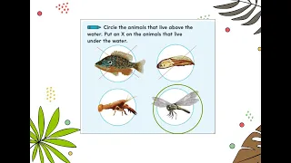 Grade 2 Science: Unit 3, Lesson 3: What Plants and Animals Live in Water Habitats?