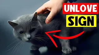 7 Signs Your Cat Doesn't Love You! (Even if You Think They Do) | Learn How To Avoid Them! 🔥