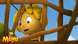 So annoying - Maya the Bee🐝🍯🐝