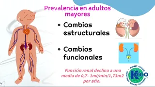 Insuficiencia renal crónica en el adulto mayor