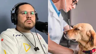 EN QUE PUEDE TRABAJAR UN VETERINARIO