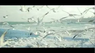 замораживающая красота ● одесса море зимой ● malininvideo