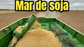 Nos toca cosechar un campo muy grande, todo un desafío