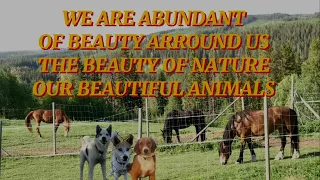 WE ARE SURROUNDED BY THIS BEAUTIFUL AND KIND ANIMALS