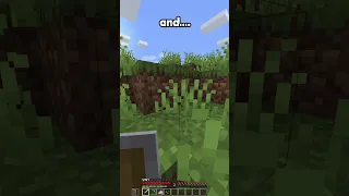 Minecraft, But If I Take Damage The Video Ends