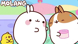 Molang  ที่รัก ✨ กล่อง THE BOX 🎁 NEW Episode 💫 การ์ตูนตลก ⭐ Super Toons TV Thai