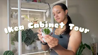 Plant Tour | What's in my Ikea MILSBO cabinet!