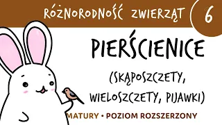 Różnorodność zwierząt 6 - Pierścienice (skąposzczety, wieloszczety, pijawki) - matura z biologii