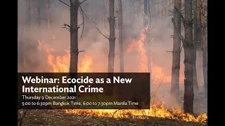 Webinar: Ecocide as a new international crime