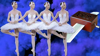 Swan Lake – Tchaikovsky