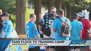 Panthers celebrate 28th year of training camp