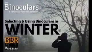 Binoculars 101: Selecting & Using Binoculars in Winter