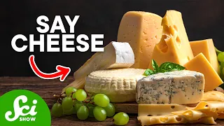 How Cheese Came to Exist: A Scientific Investigation