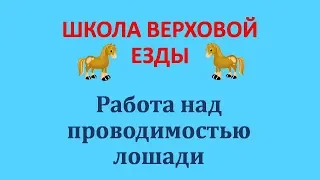 Работа над проводимостью лошади